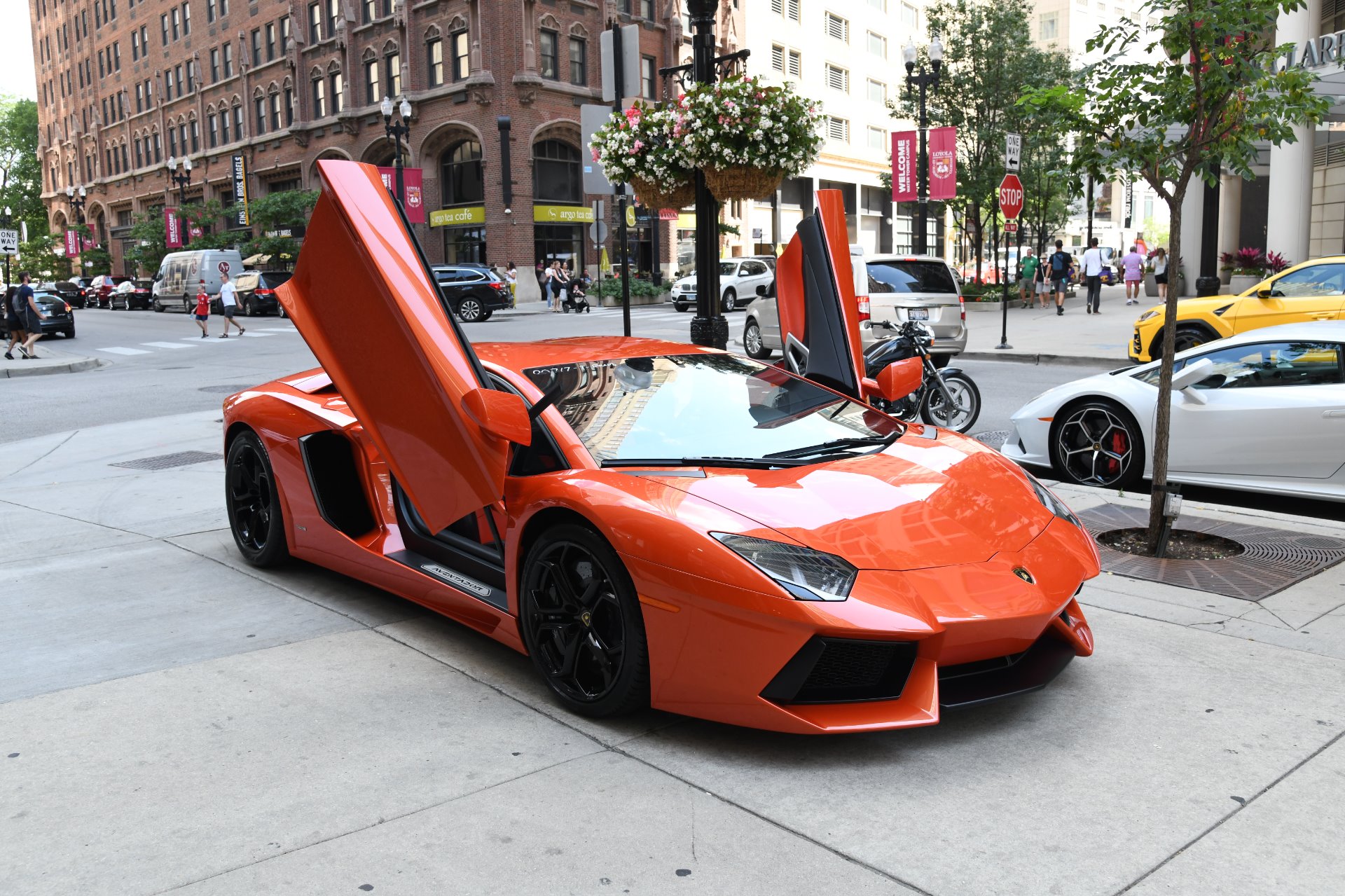 Used 2012 Lamborghini Aventador LP700-4 | St. Petersburg, FL