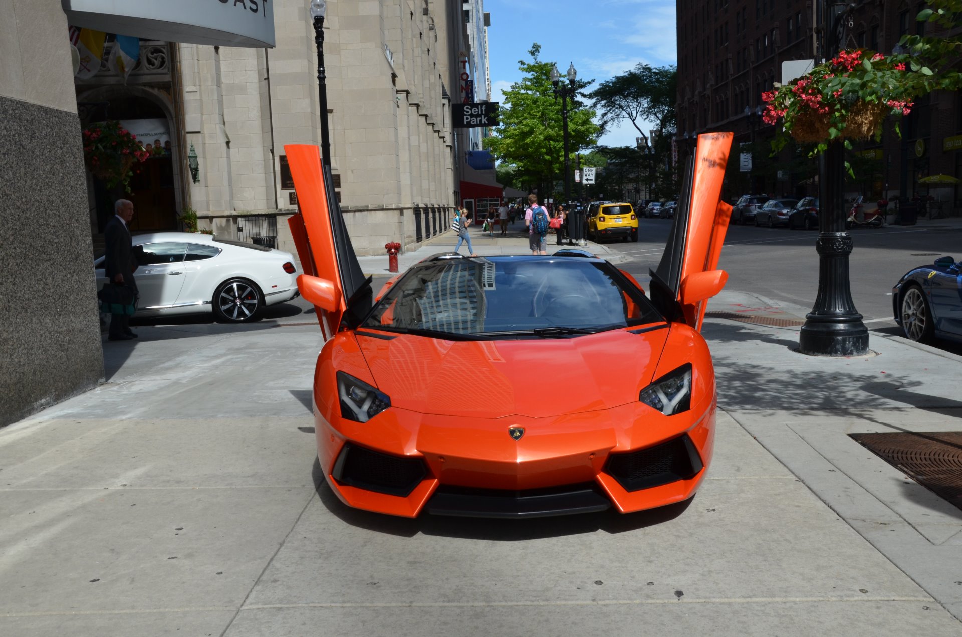 Used 2014 Lamborghini Aventador Roadster LP 700-4 Roadster | St. Petersburg, FL