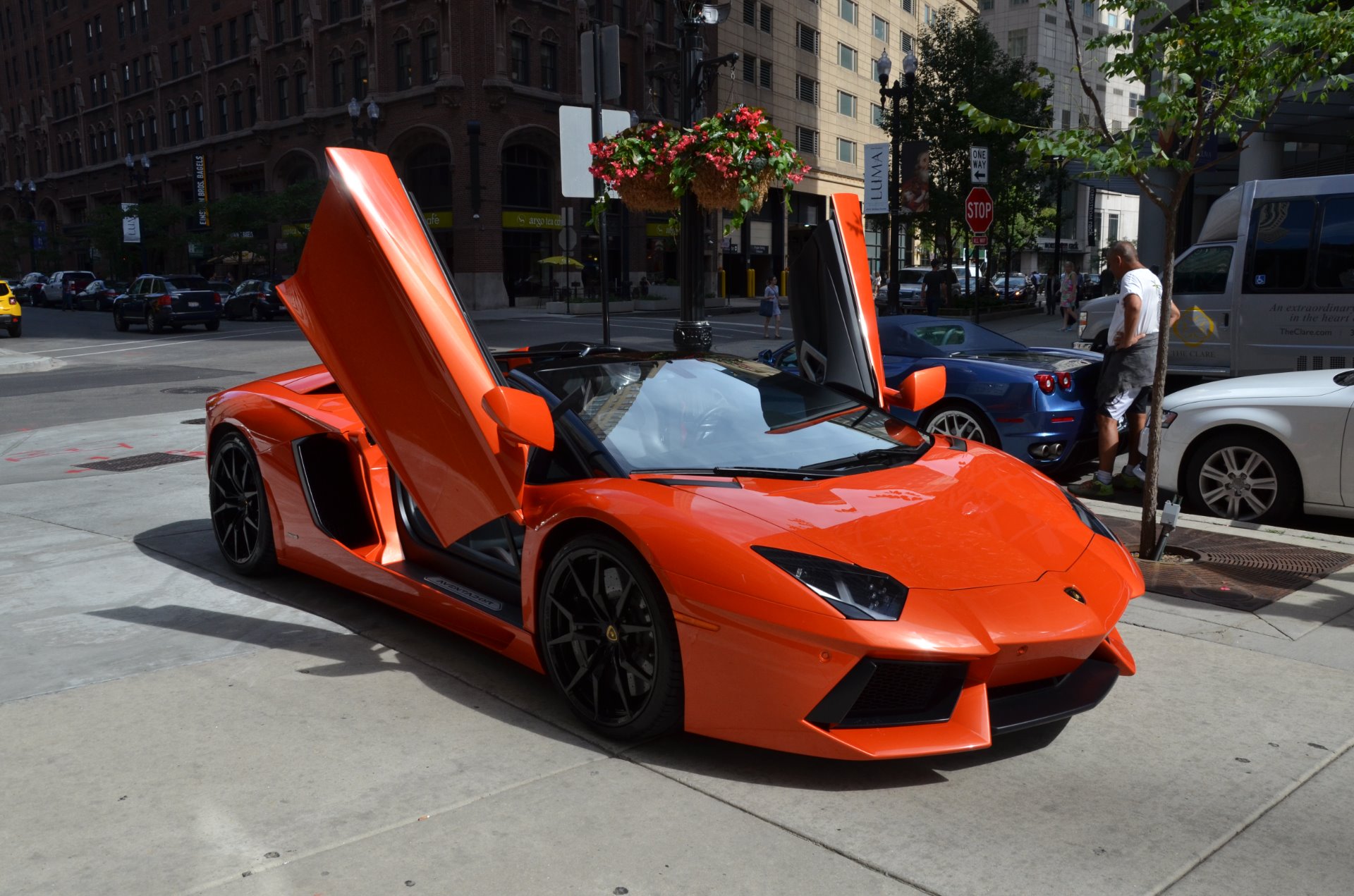 Used 2014 Lamborghini Aventador Roadster LP 700-4 Roadster | St. Petersburg, FL