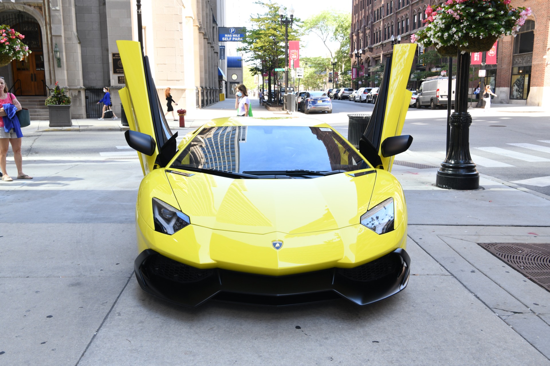 Used 2014 Lamborghini Aventador LP 720-4 50 Anniversario | St. Petersburg, FL