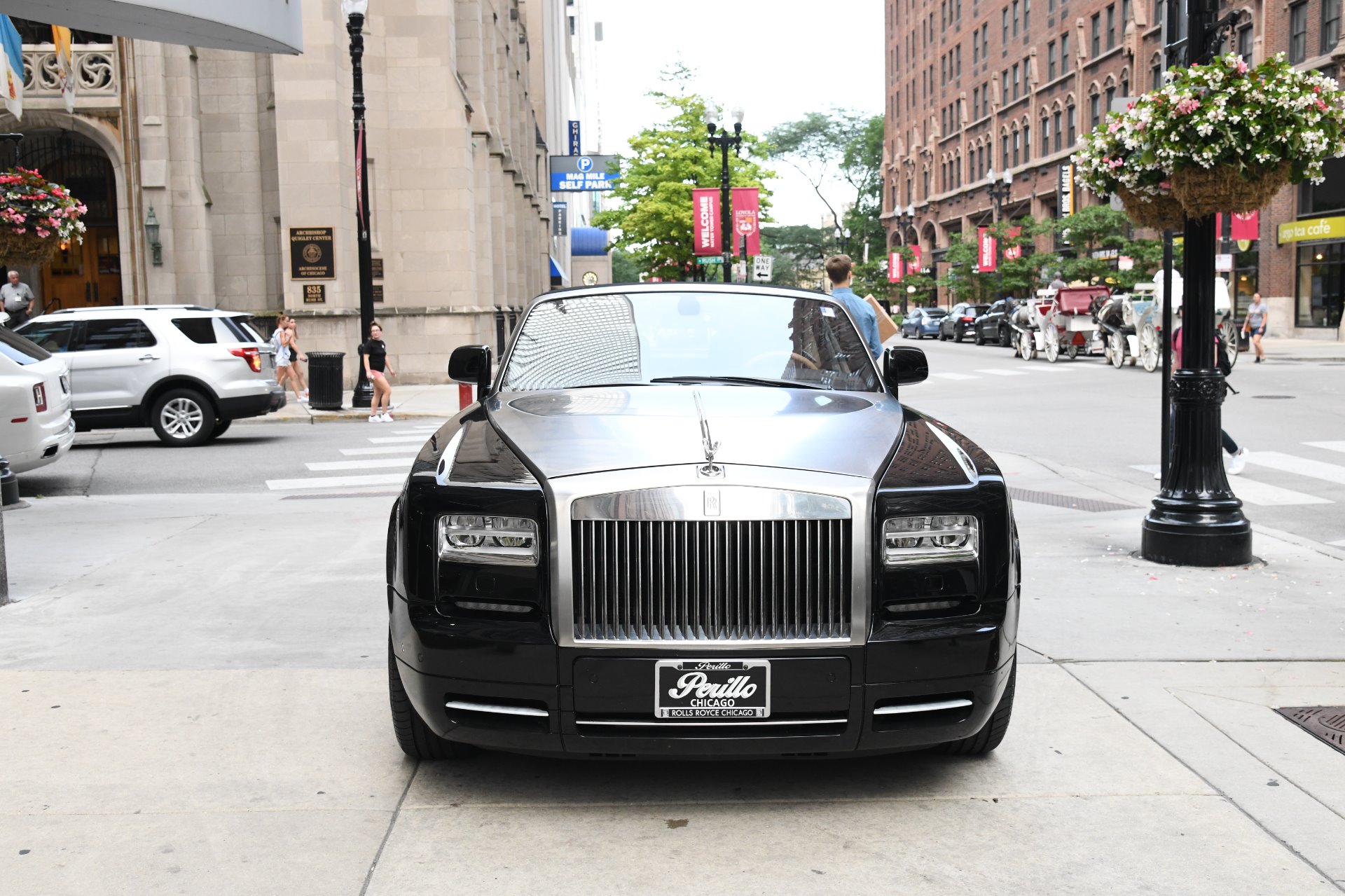 Used 2015 Rolls-Royce Phantom Drophead Coupe | St. Petersburg, FL