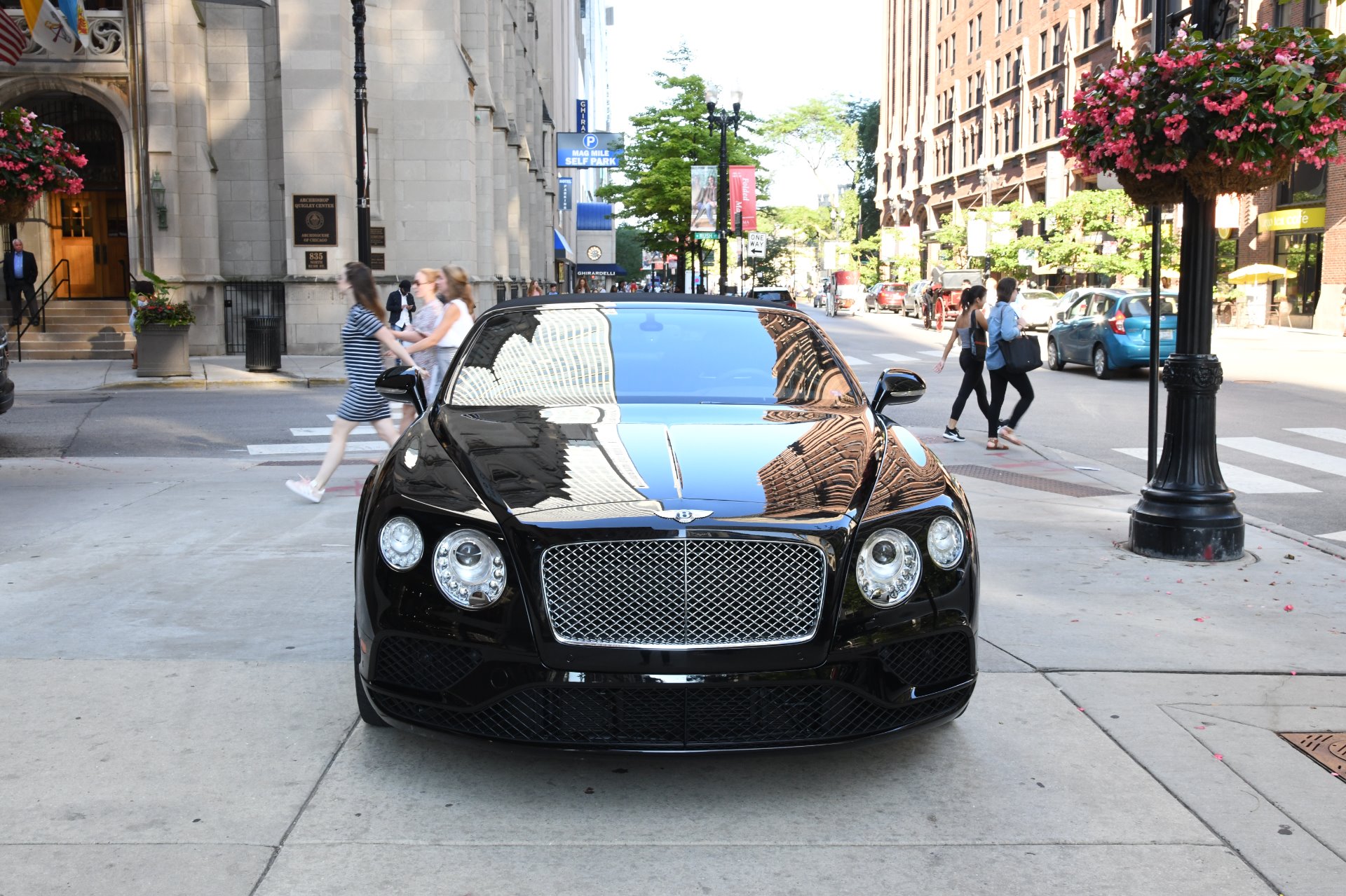 Used 2016 Bentley Continental GT Convertible GT | St. Petersburg, FL