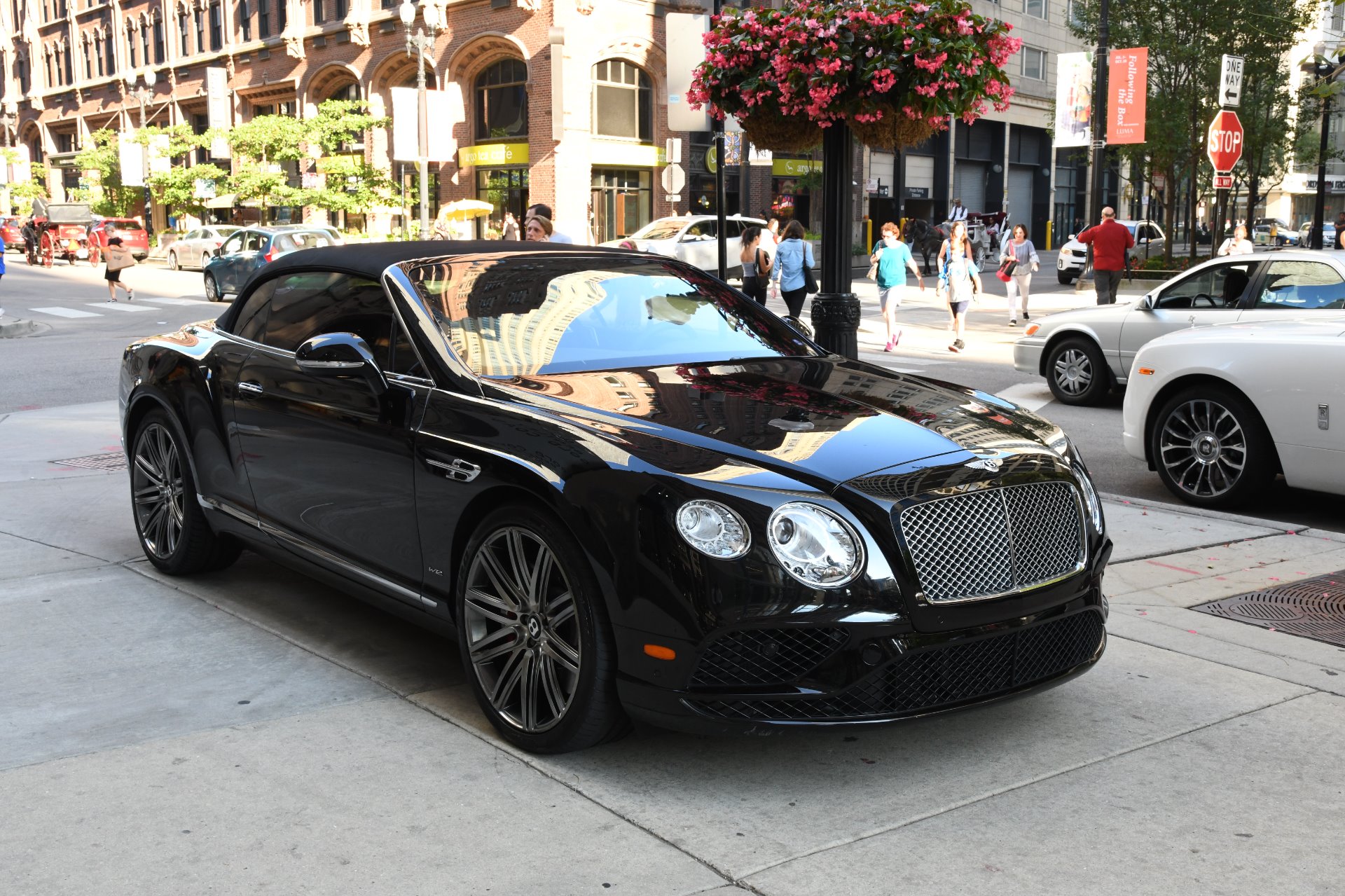 Used 2016 Bentley Continental GT Convertible GT | St. Petersburg, FL