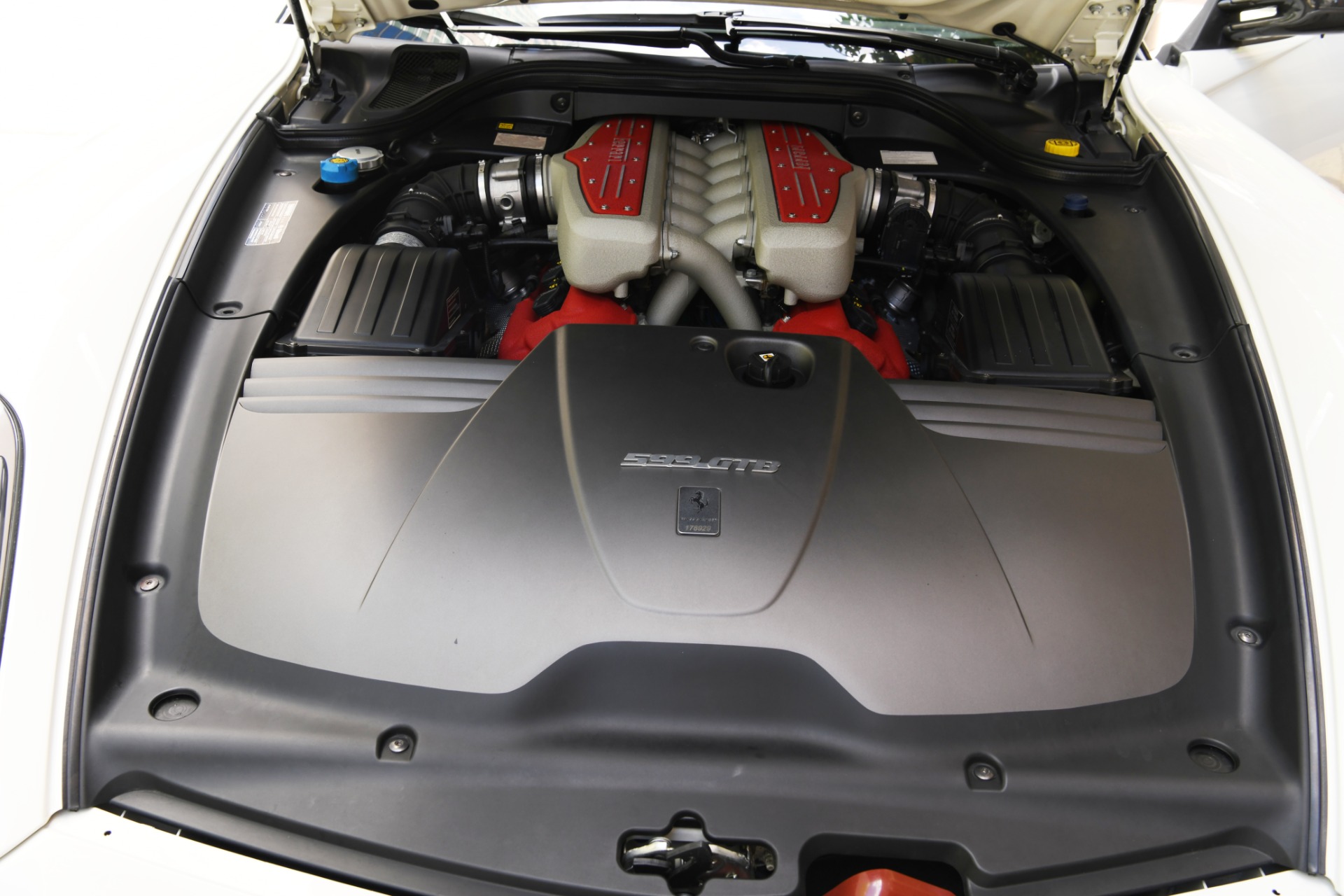 Used 2011 Ferrari 599 GTB Fiorano | St. Petersburg, FL