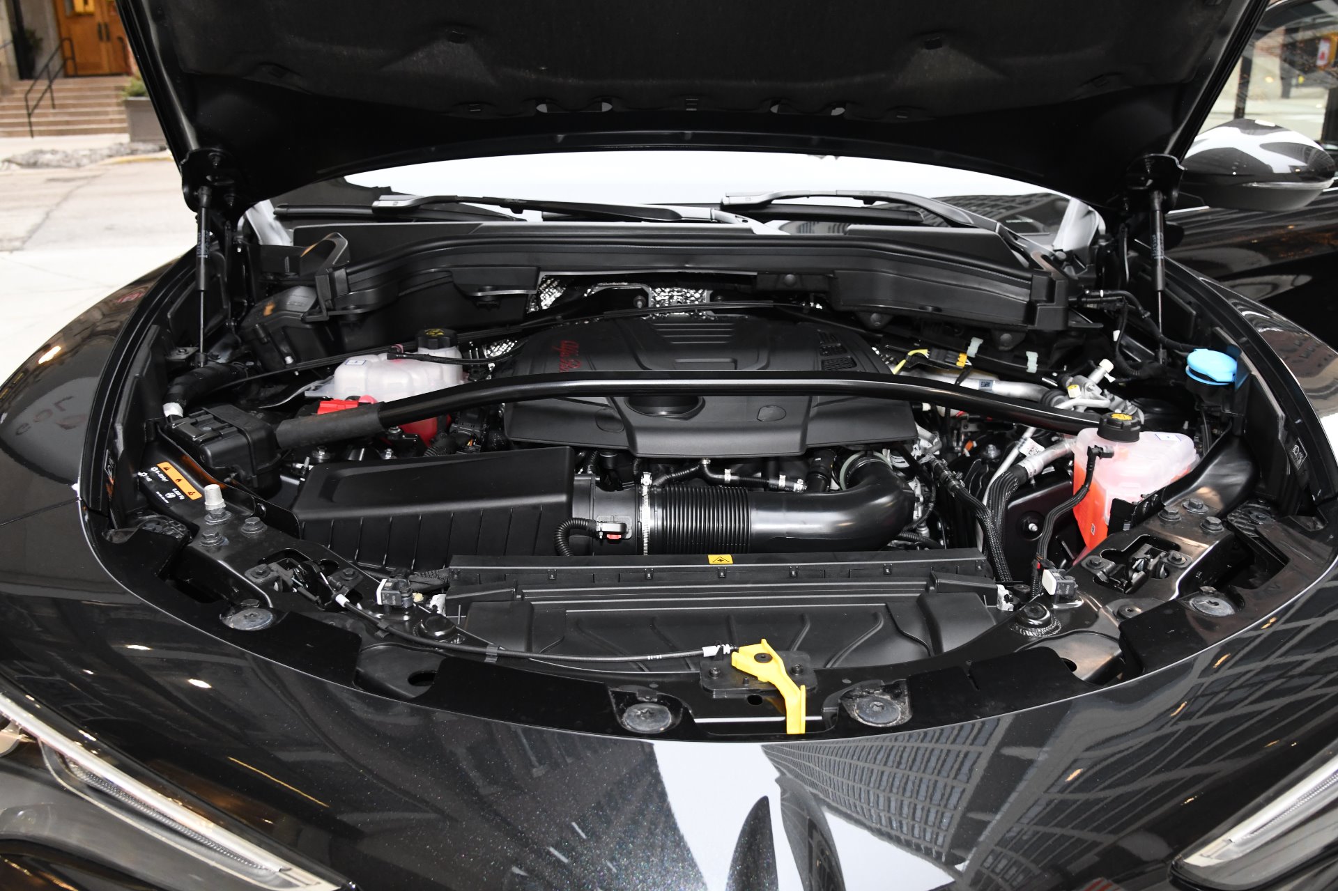 New 2020 Alfa Romeo Stelvio Ti Sport Ti | St. Petersburg, FL