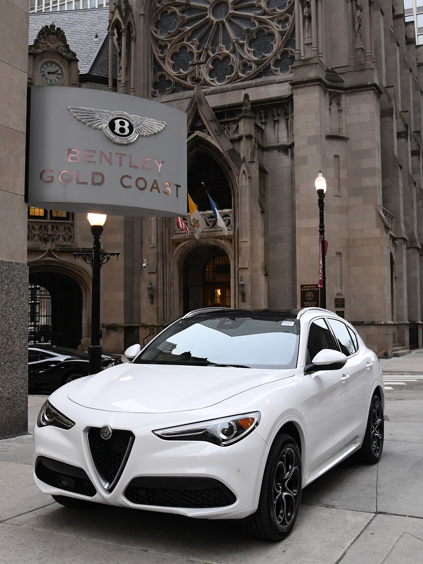 New 2020 Alfa Romeo Stelvio TI Ti | St. Petersburg, FL