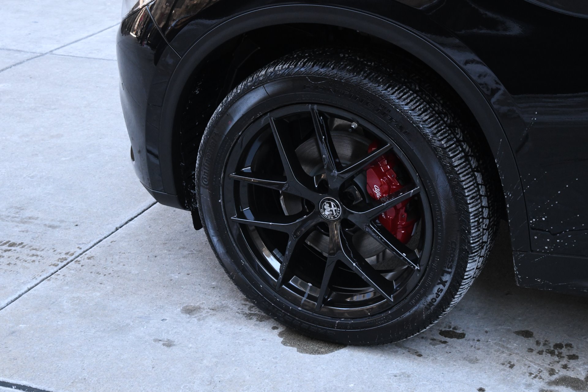 New 2020 Alfa Romeo Stelvio | St. Petersburg, FL