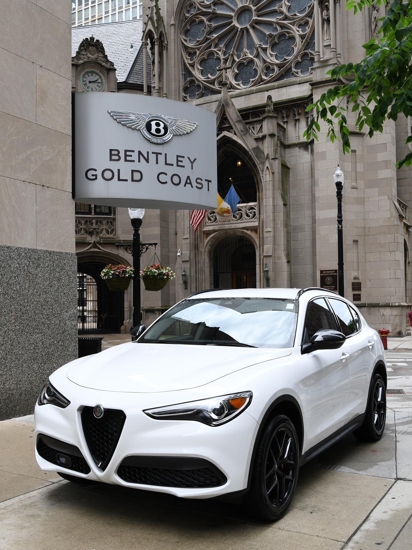 New 2020 Alfa Romeo Stelvio | St. Petersburg, FL