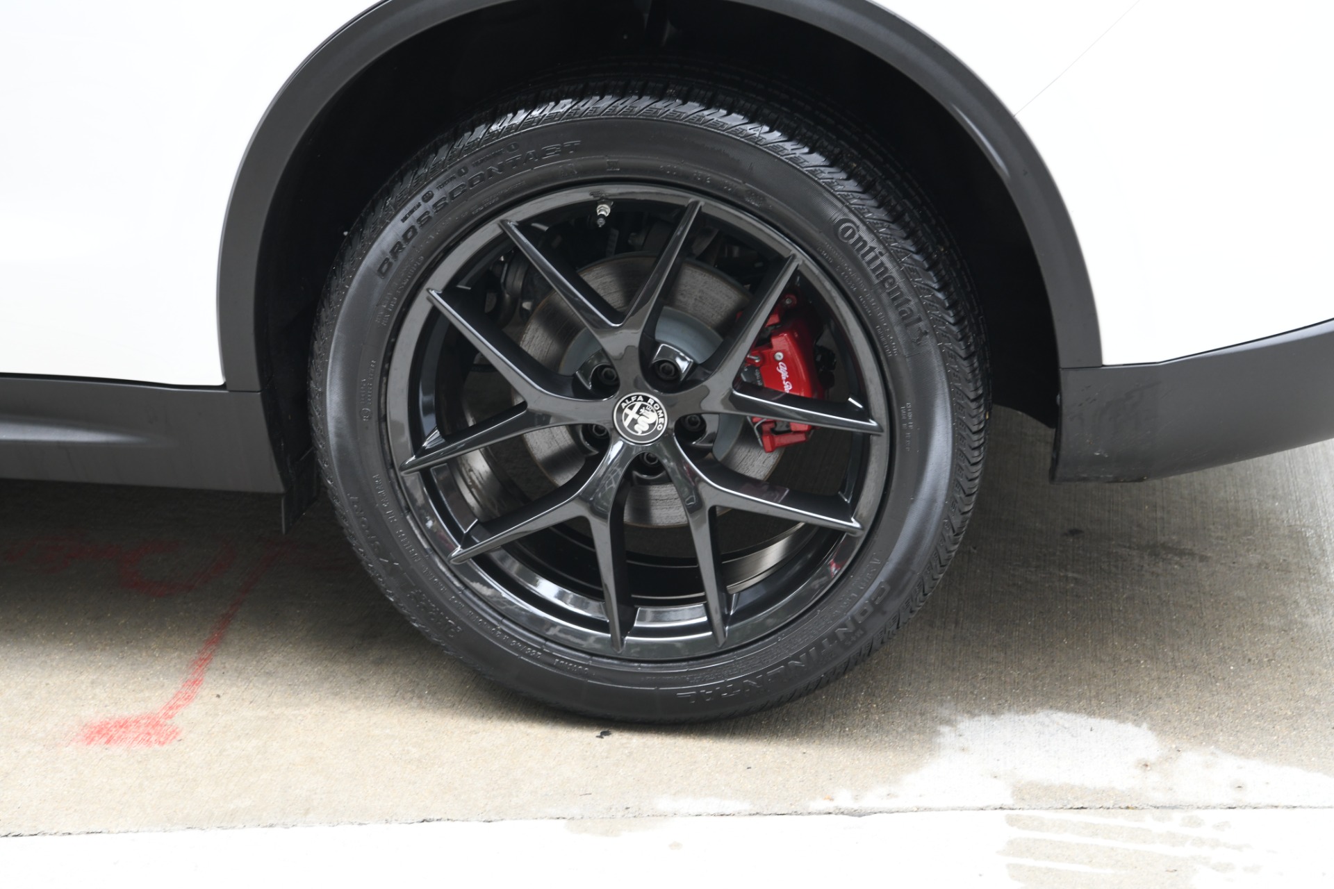 New 2020 Alfa Romeo Stelvio | St. Petersburg, FL