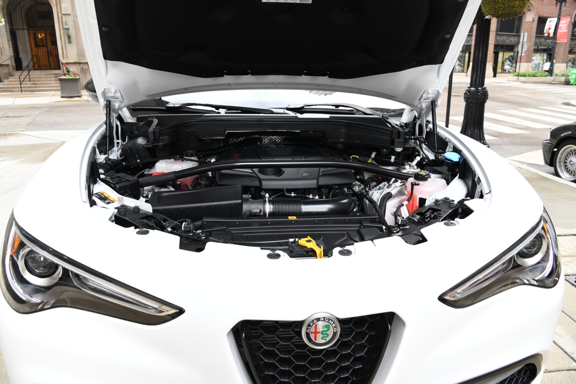 New 2020 Alfa Romeo Stelvio | St. Petersburg, FL
