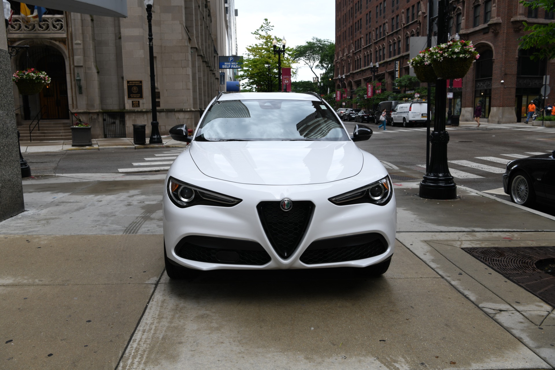 New 2020 Alfa Romeo Stelvio | St. Petersburg, FL