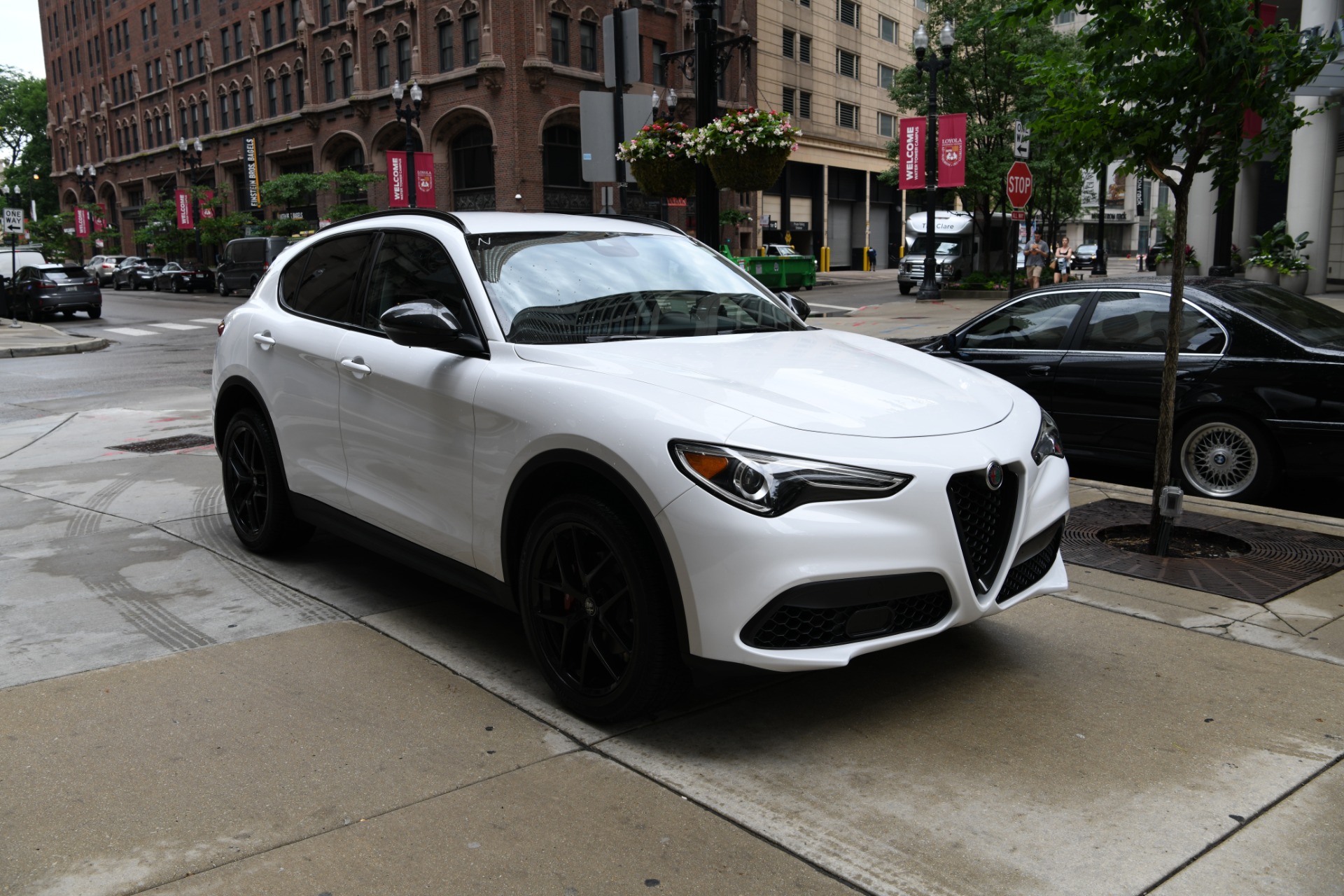 New 2020 Alfa Romeo Stelvio | St. Petersburg, FL