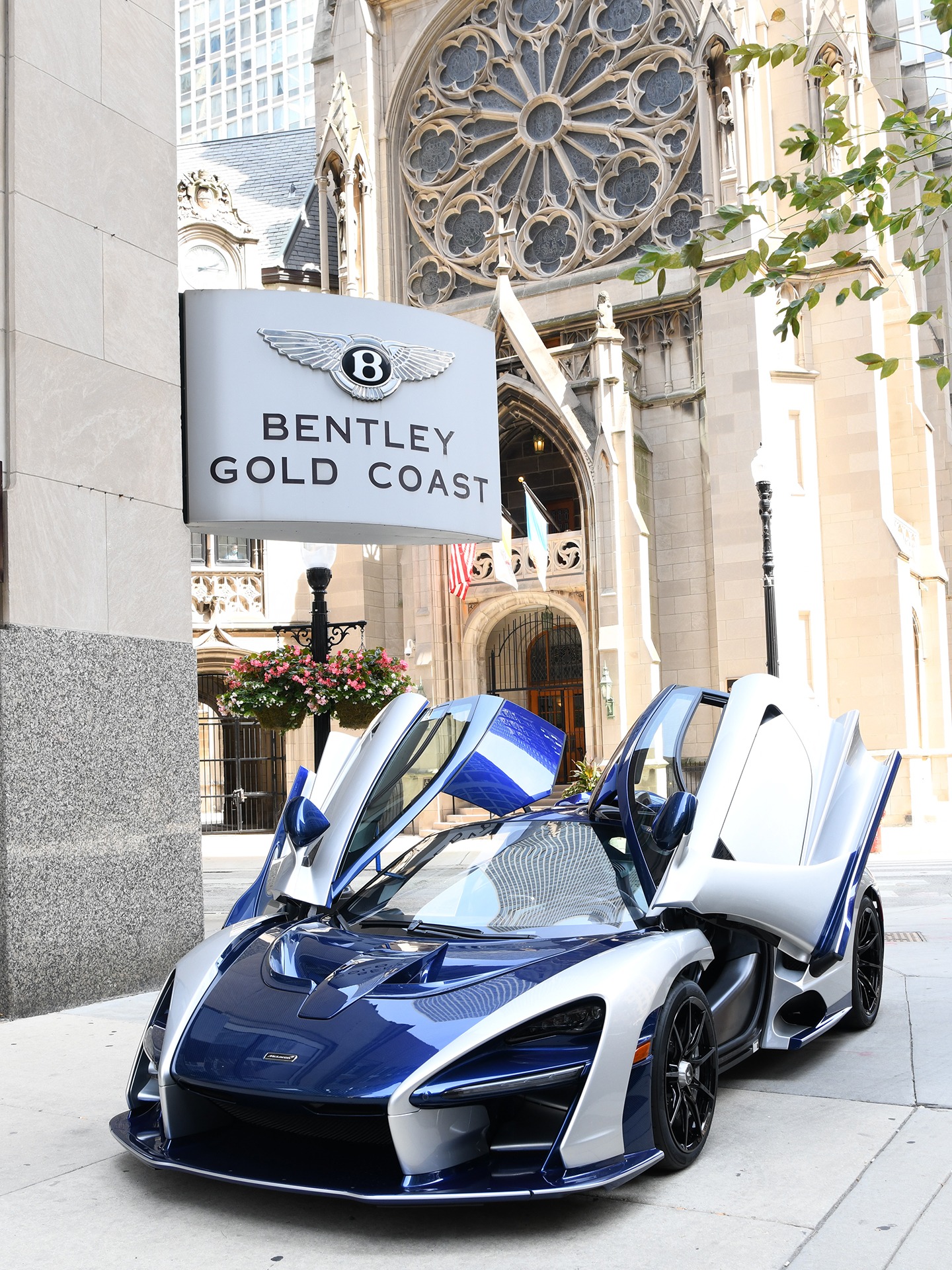 Used 2019 McLaren Senna | St. Petersburg, FL