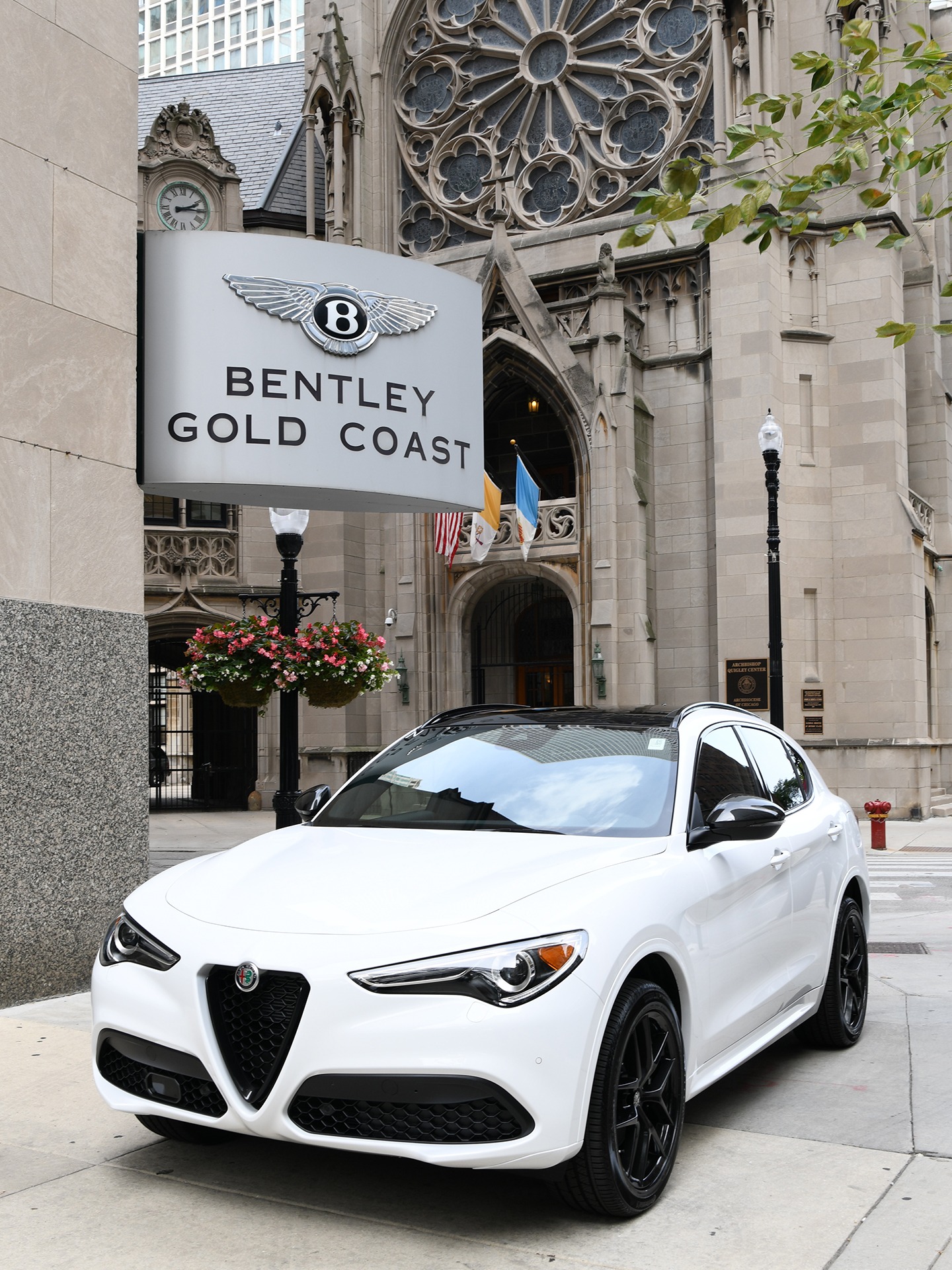 New 2020 Alfa Romeo Stelvio Ti Sport | St. Petersburg, FL