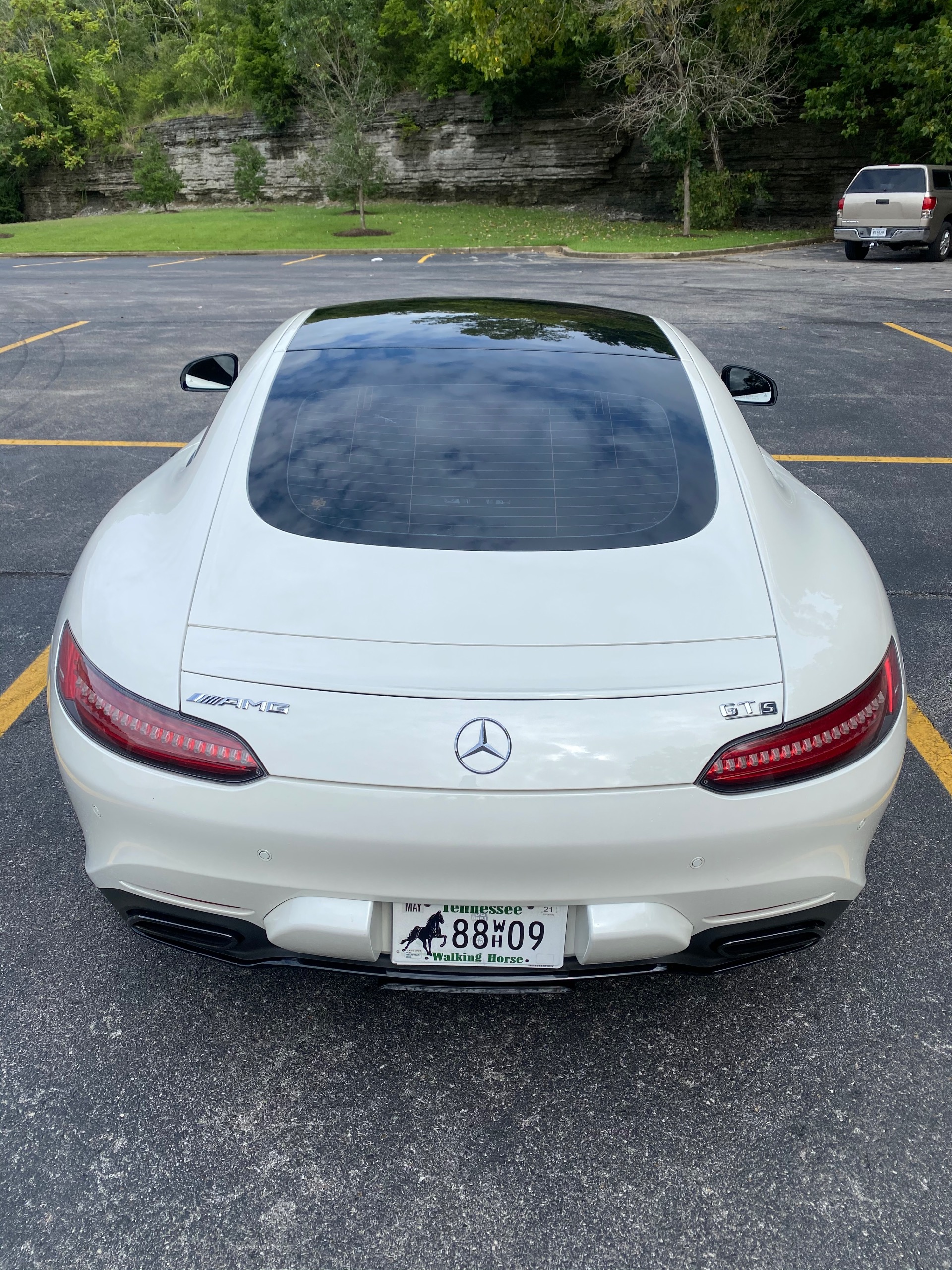 Used 2016 Mercedes-Benz AMG GT S | St. Petersburg, FL