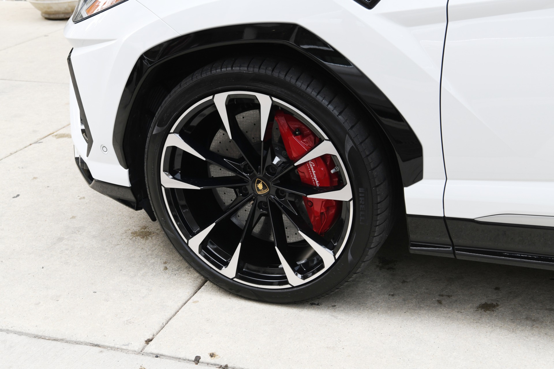 Used 2019 Lamborghini Urus | St. Petersburg, FL