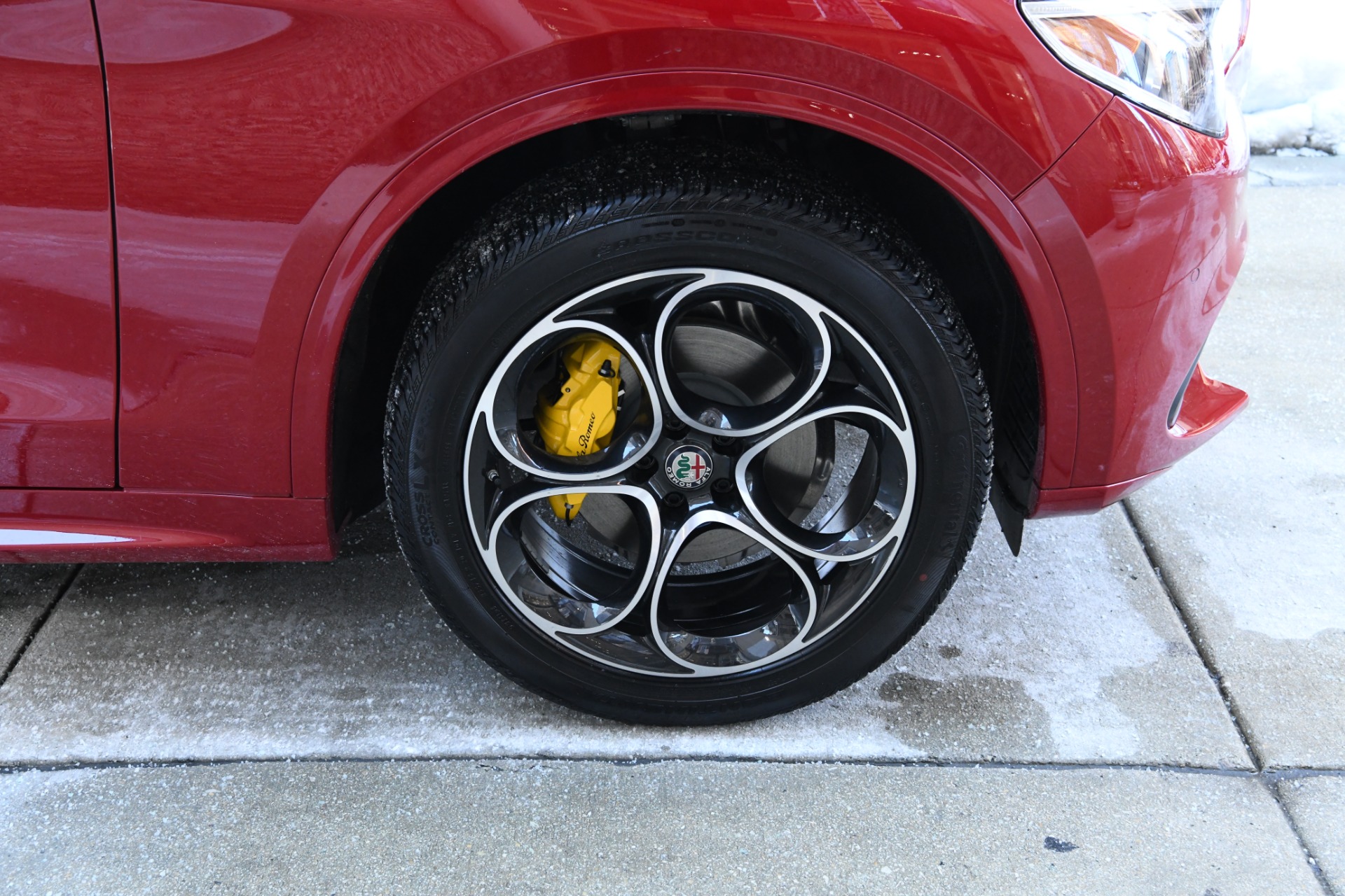 New 2021 Alfa Romeo Stelvio | St. Petersburg, FL
