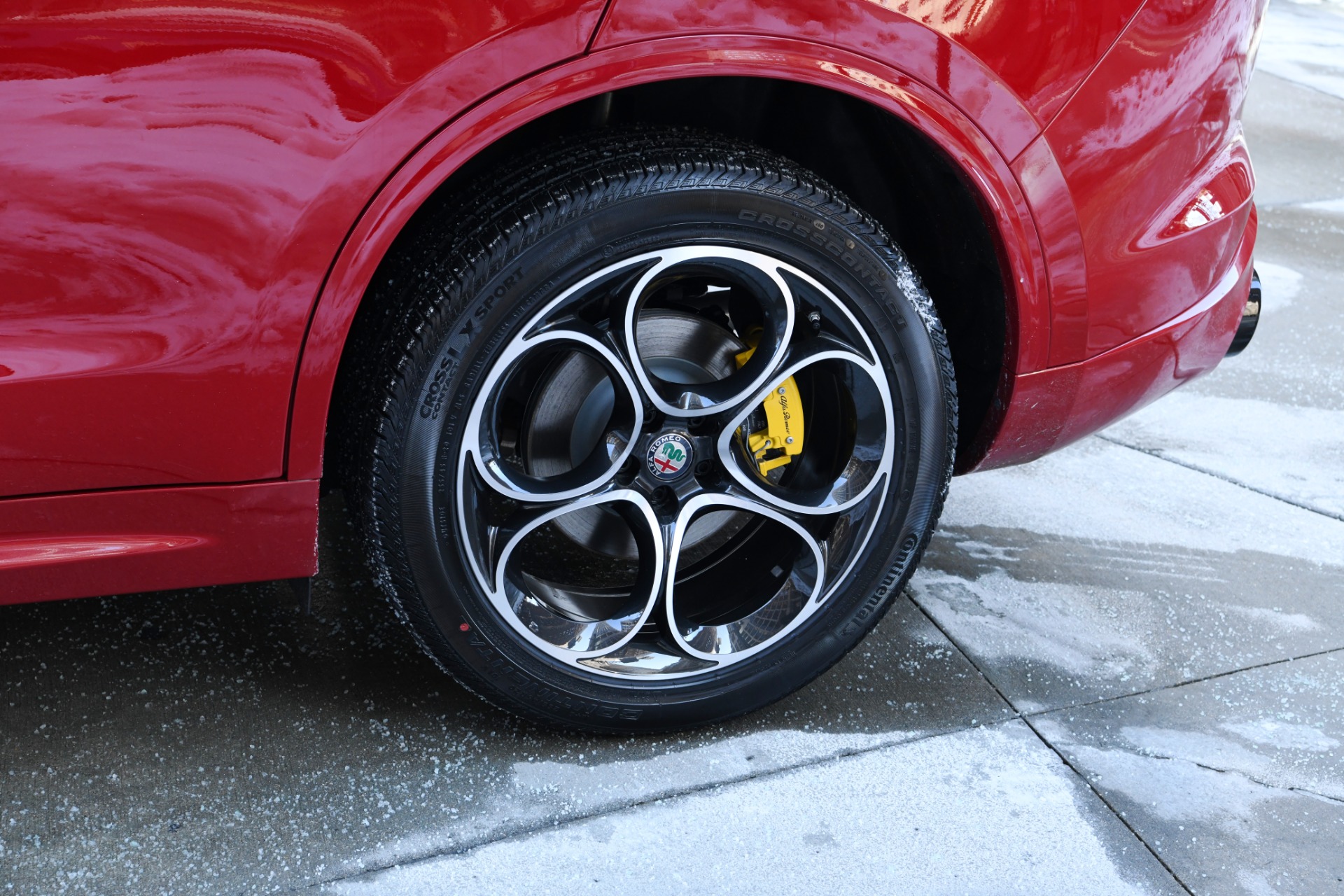 New 2021 Alfa Romeo Stelvio | St. Petersburg, FL