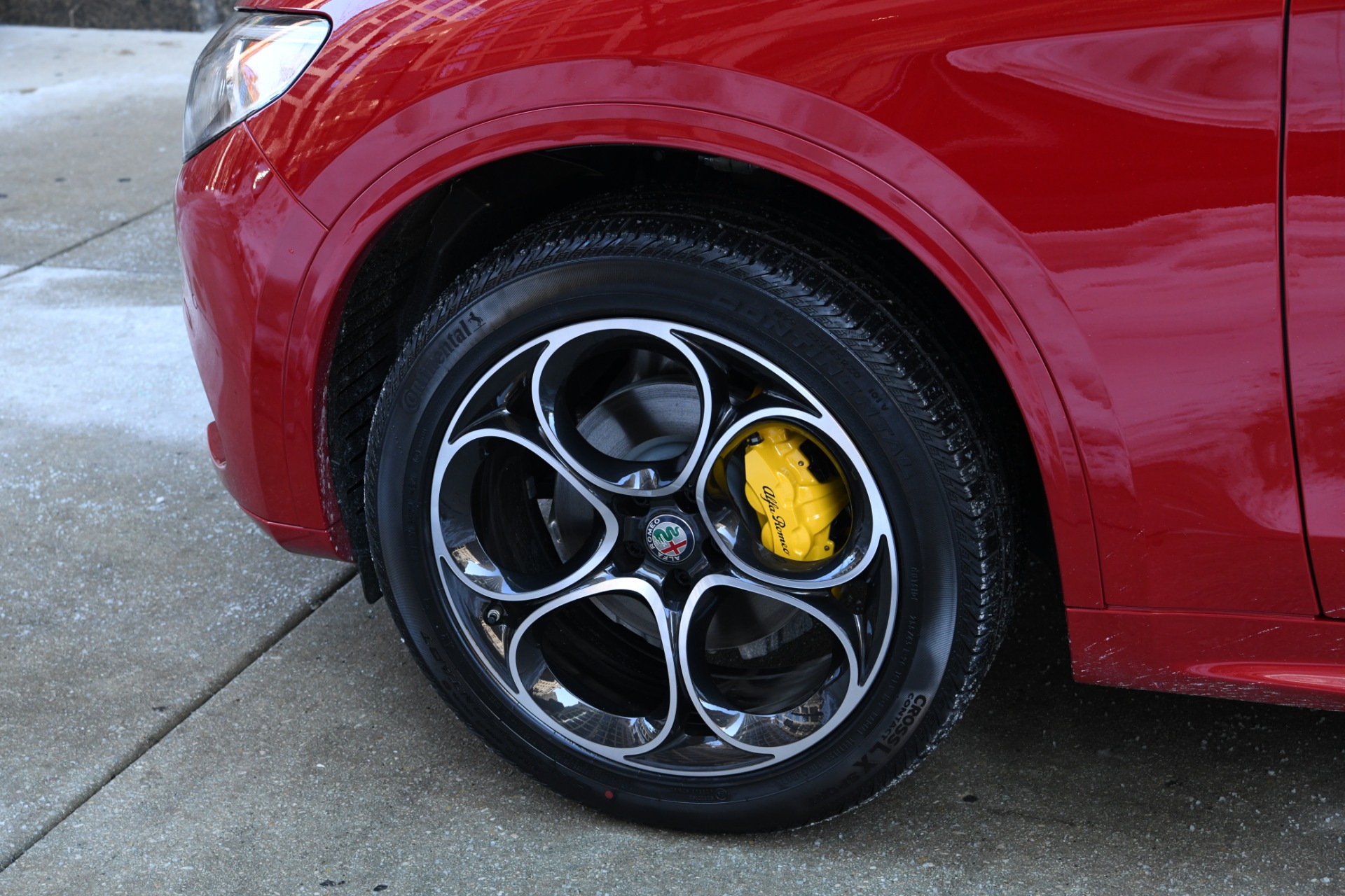 New 2021 Alfa Romeo Stelvio | St. Petersburg, FL