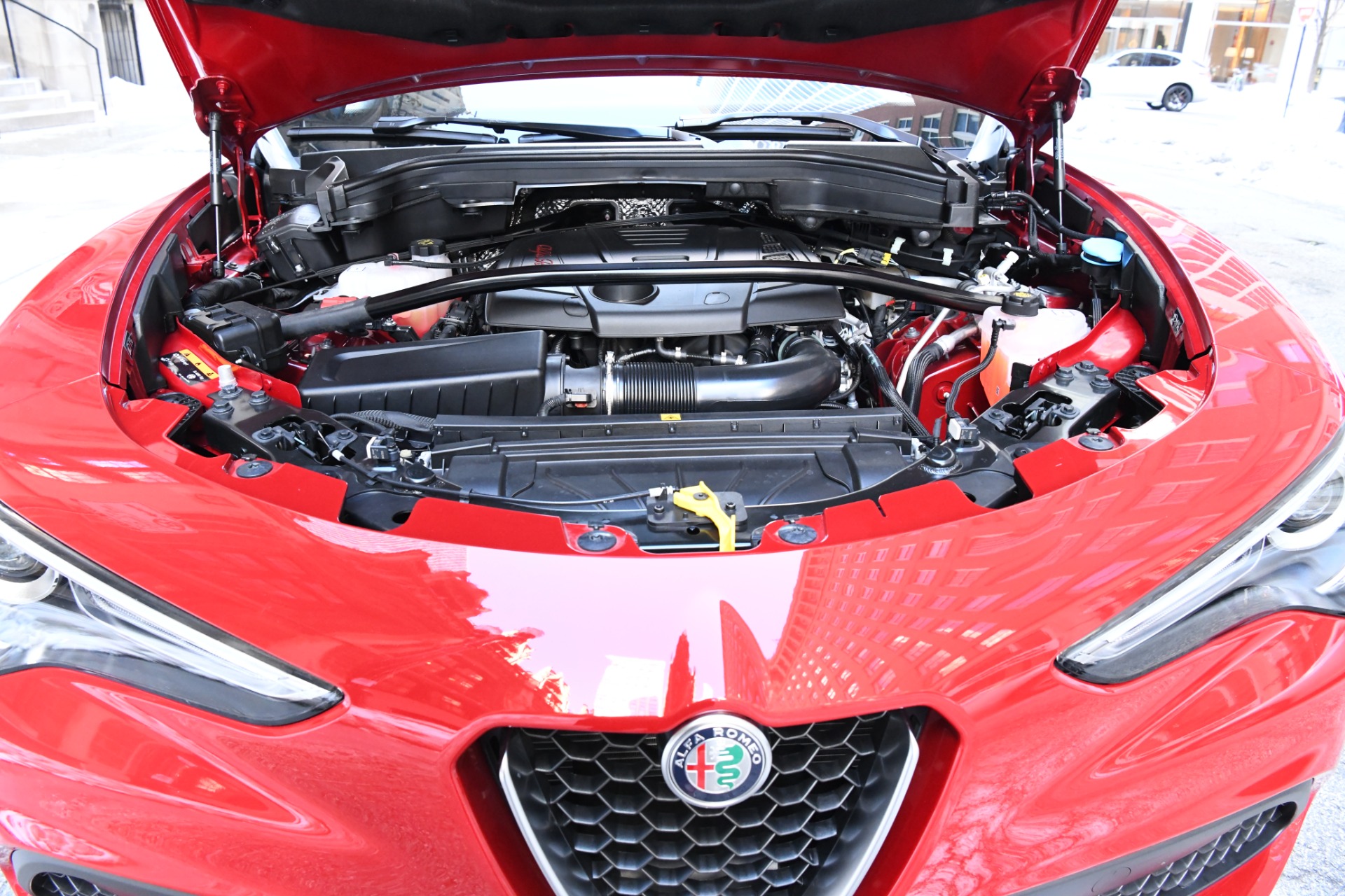 New 2021 Alfa Romeo Stelvio | St. Petersburg, FL