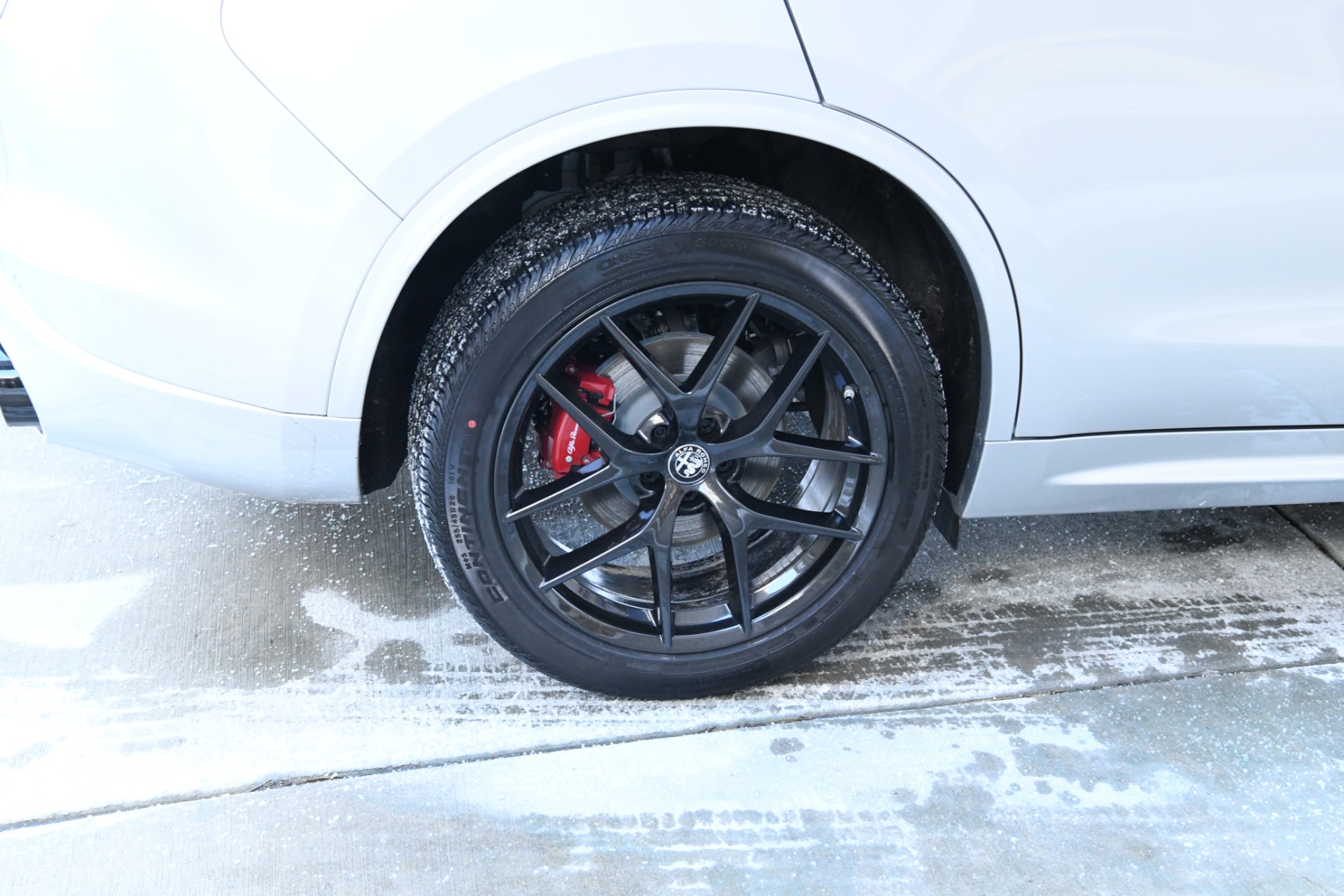 New 2021 Alfa Romeo Stelvio | St. Petersburg, FL