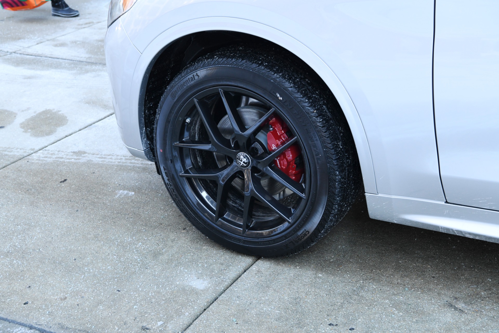 New 2021 Alfa Romeo Stelvio | St. Petersburg, FL