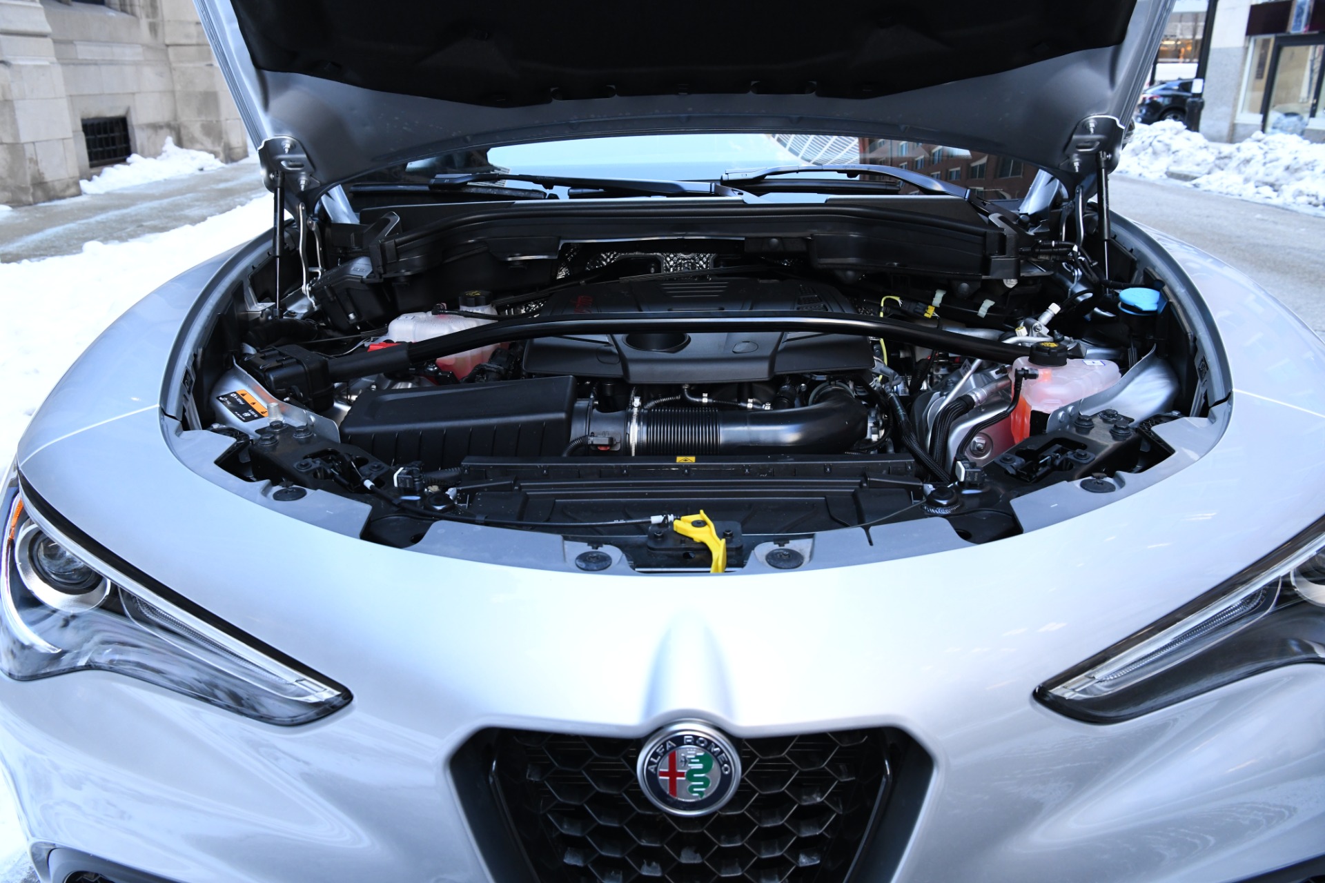 New 2021 Alfa Romeo Stelvio | St. Petersburg, FL