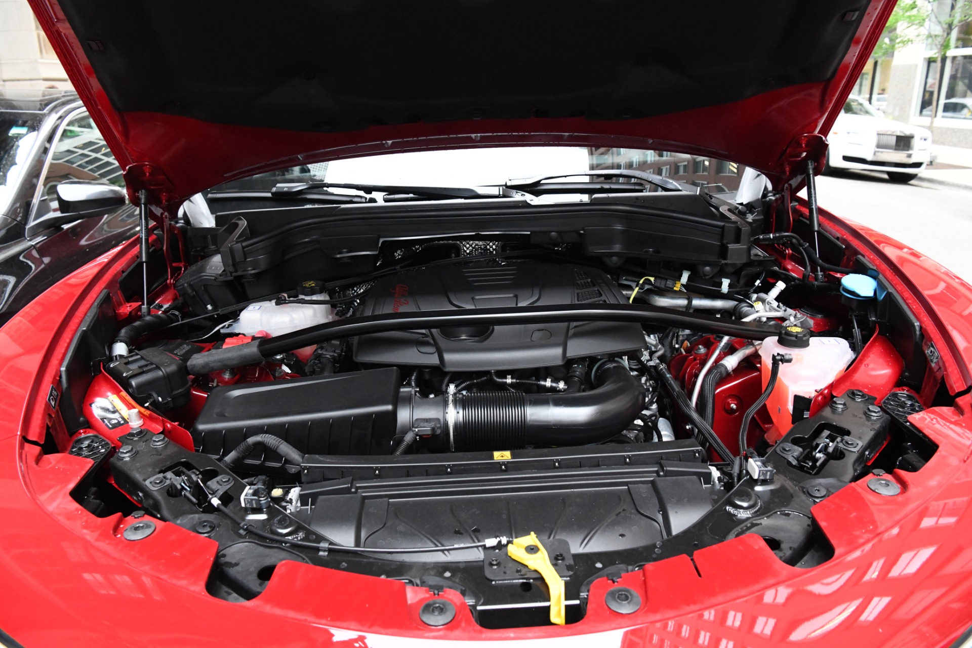 New 2021 Alfa Romeo Stelvio Ti | St. Petersburg, FL