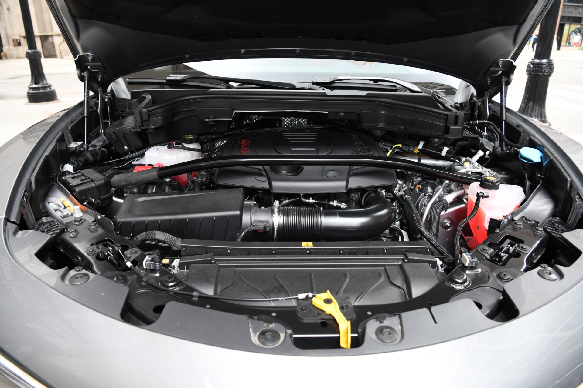 New 2021 Alfa Romeo Stelvio Ti Sport | St. Petersburg, FL