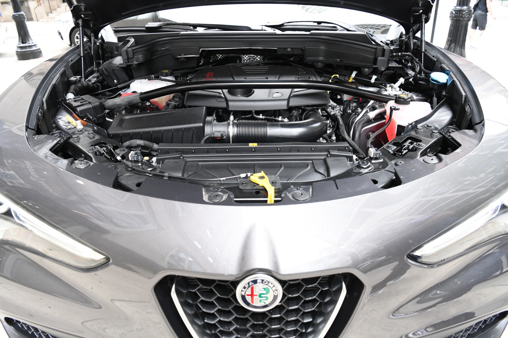 New 2021 Alfa Romeo Stelvio Ti | St. Petersburg, FL