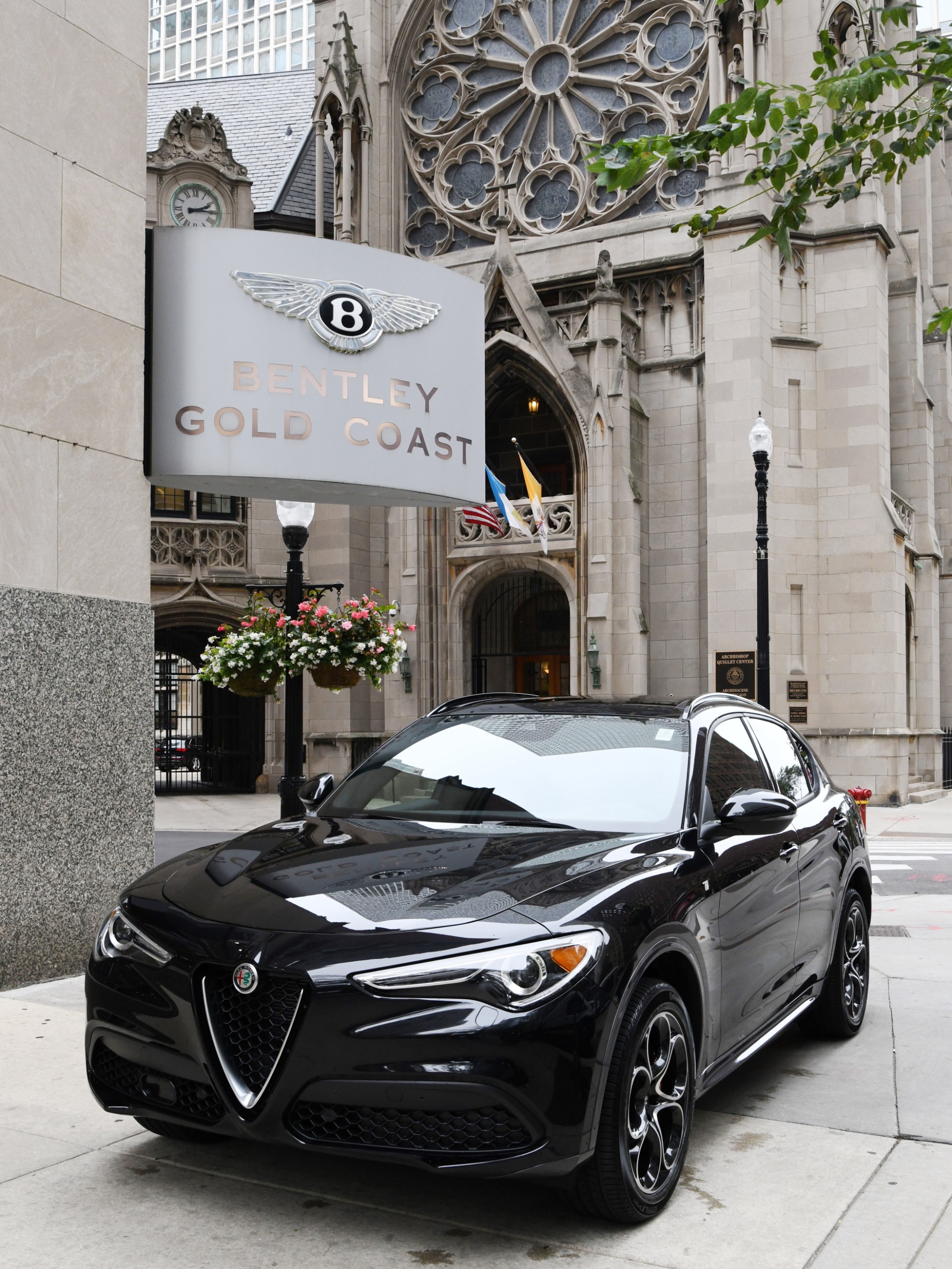 New 2022 Alfa Romeo Stelvio Ti | St. Petersburg, FL