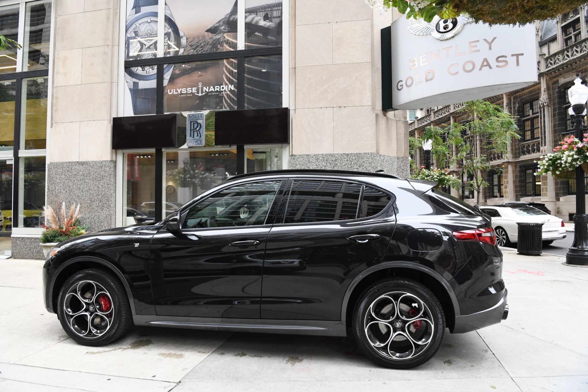 New 2022 Alfa Romeo Stelvio Ti | St. Petersburg, FL