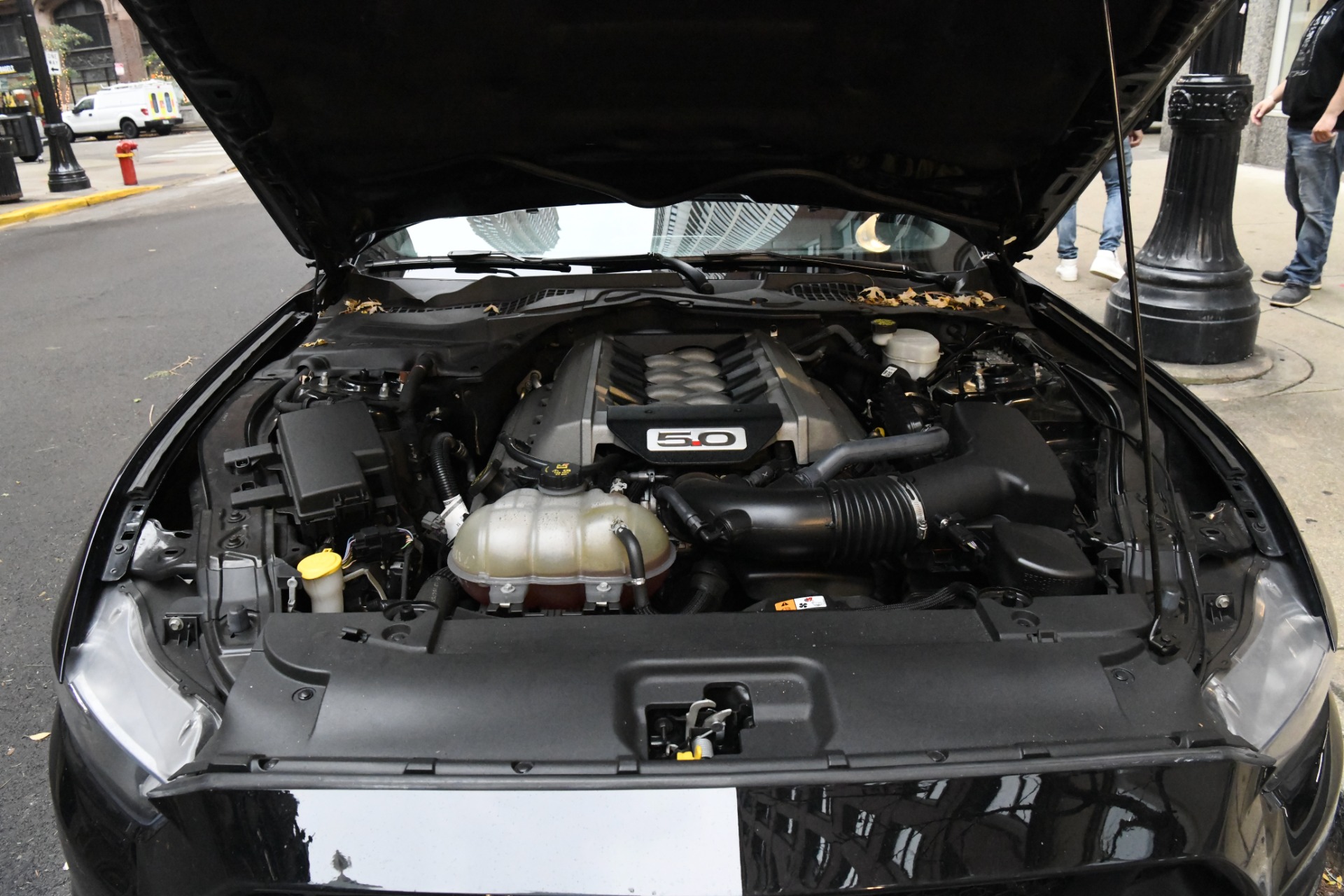 Used 2016 Ford Mustang GT Premium | St. Petersburg, FL