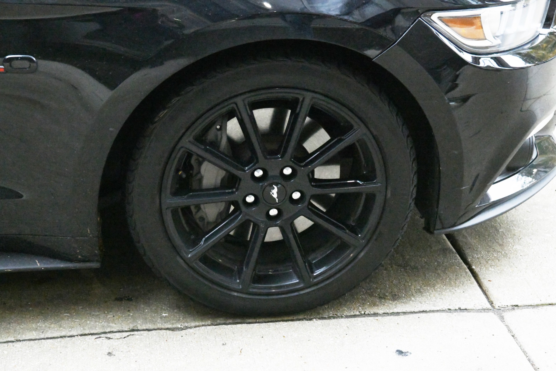 Used 2016 Ford Mustang GT Premium | St. Petersburg, FL