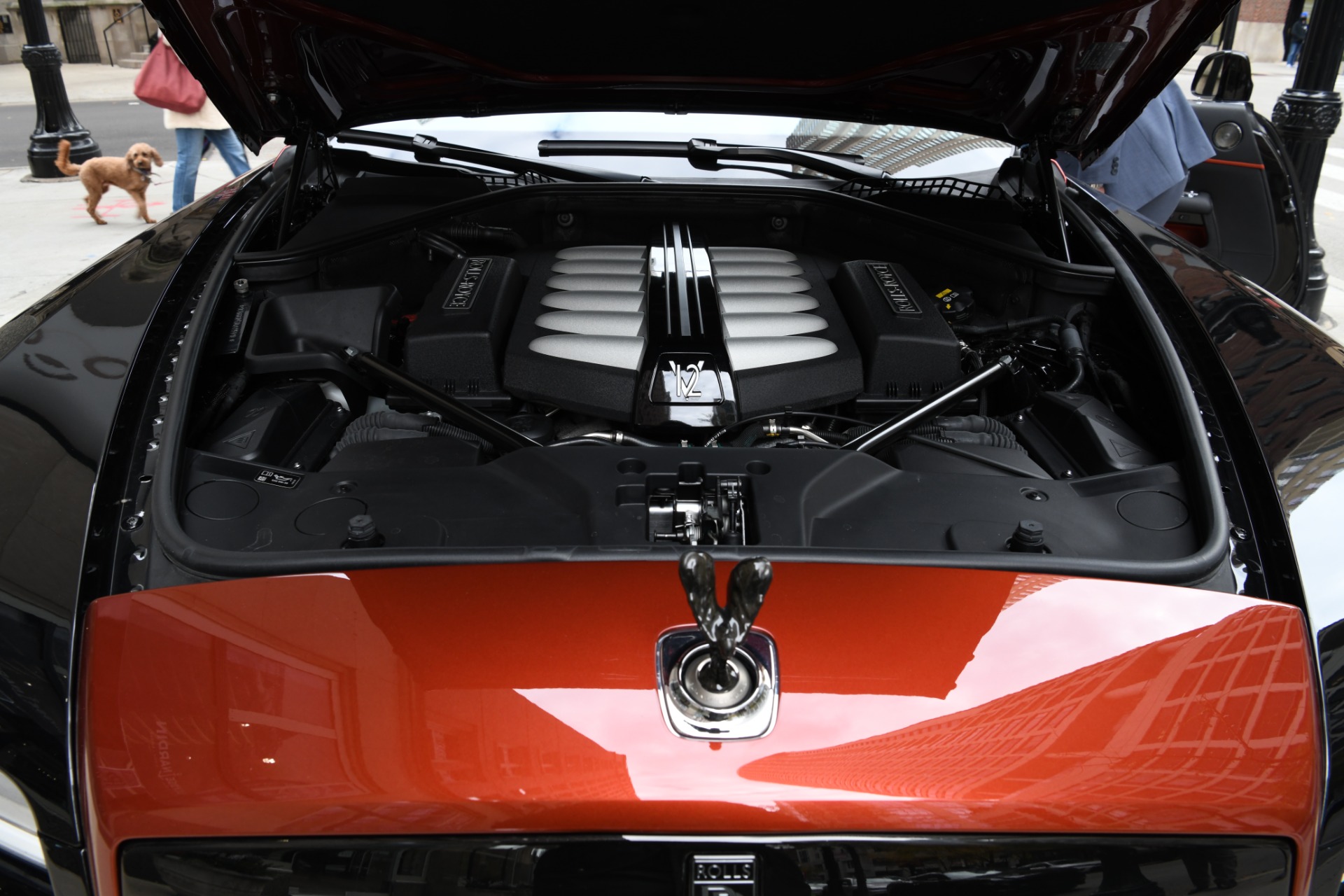 Used 2019 Rolls-Royce Dawn BLACK BADGE ADAMAS | St. Petersburg, FL